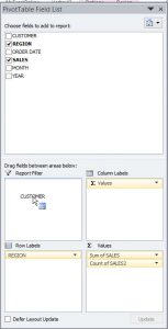 Report Filter پیوت تیبل (pivot table)