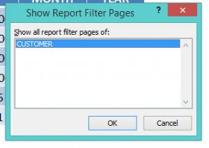 Report Filter پیوت تیبل (pivot table)